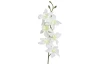 Umelá kvetina Orchidej 64 cm, krémová