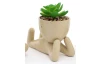Umelý sukulent (1 ks) v kvetináči, béžový (3 druhy)
