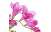 Umelý kvet Frézia 60 cm, fialová