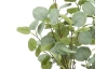Umelá rastlina v kvetináči Eukalyptus strom, 85 cm