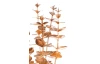 Umelý kvet Vianočný eukalyptus 35 cm, zlatý