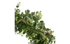 Umelý veniec Eukalyptus 40 cm, zelený