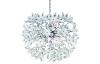 Luster Teneriffa, biele kvety