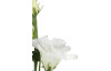 Umelý kvet Eustoma 80 cm, biela