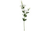 Umelý kvet Eustoma 80 cm, biela