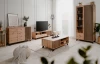 TV skrinka Merida, dub artisan/antracit