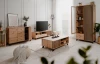 TV skrinka Merida, dub artisan/antracit