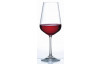 Pohár na červené víno Sandra 450 ml