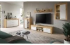 TV skrinka Jana, 160 cm, dub wotan/biela