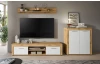 TV skrinka Jana, 160 cm, dub wotan/biela