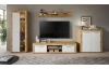 TV skrinka Jana, 160 cm, dub wotan/biela