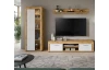 TV skrinka Jana, 160 cm, dub wotan/biela