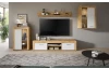 TV skrinka Jana, 160 cm, dub wotan/biela