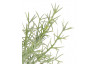 Umelá kvetina Asparágus 35 cm, zelená