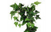 Umelá rastlina Brečtan previs 72 cm, zelený