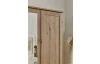 Šatníková skriňa Nadja, 225 cm, dub artisan/zrkadlo