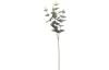 Umelá kvetina Eukalyptus vetva, 65 cm