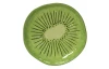 Tanier Kiwi, 15 cm