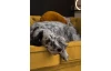 Pohovka Chesterfield, horčicovo žltá látka