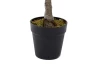 Umelá rastlina v kvetináči Eukalyptus strom, 85 cm