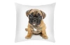 Dekoračný vankúšik Mops, 25x25 cm