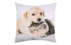 Dekoračný vankúšik Psík s mačičkou, 25x25 cm