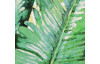 Obraz na plátne Tropické listy, 40x40 cm