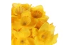 Umelá kytica Narcisky v pugete 34 cm, žltá