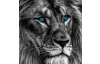 Obraz na plátne Lev s modrými očami, 118x78 cm
