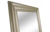 Nástenné zrkadlo Sekt 55x80 cm, zlaté