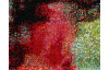 Koberec Belis 160x230 cm, farebný abstraktné motívmotiv