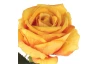 Umelý  kvet Ruža 76 cm, žltá