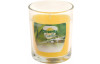 Vonná repelentná sviečka v skle, citronella