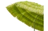 Záhradný slnečník Hawaii 180 cm, limetový