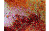 Koberec Belis 120x170 cm, farebný abstraktný motív