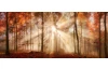 Panoramatický obraz na plátne Jesenný les, 140x60 cm
