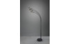 Stojacia LED lampa Reed 195 cm, čierna, 5 svietidiel