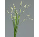 Umelá kvetina Tráva 70 cm, krémová