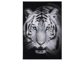 Koberec Digital 100x150 cm, biely tiger