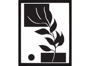 Rámovaný obraz Čiernobiela rastlinná abstrakcia IV, 24x30 cm