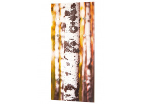 Závesný vešiakový panel motív breza