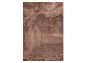 Koberec Tiara 160x230 cm, hnedý