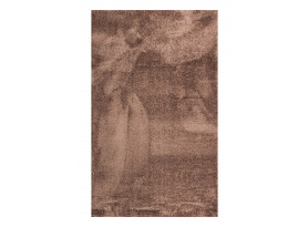 Koberec Tiara 80x150 cm, hnedý