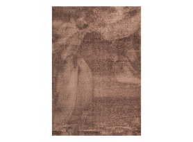 Koberec Tiara 120x170 cm, hnedý