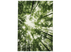 Koberec Belis 120x170 cm, zelený les