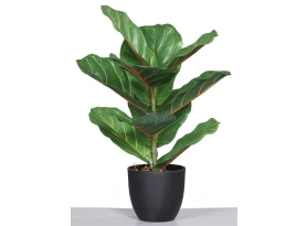 Umelá rastlina v kvetináči Figovník, 40 cm