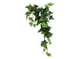 Umelá rastlina Brečtan previs 72 cm, zelený