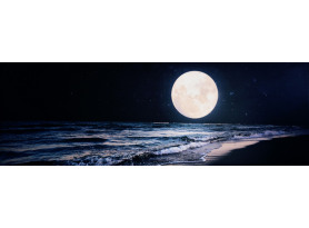 Obraz na plátne Nočná krása, 150x50 cm
