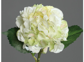 umelá kvetina Hortenzia, krémová