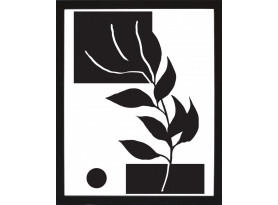 Rámovaný obraz Čiernobiela rastlinná abstrakcia IV, 24x30 cm